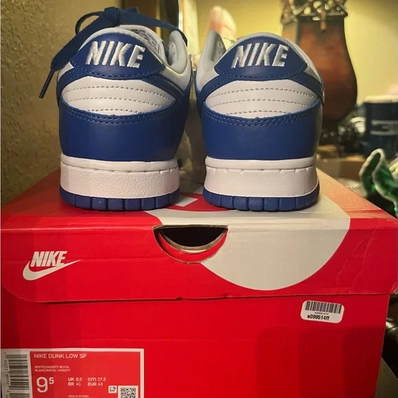 Dunk low Kentucky 9.5